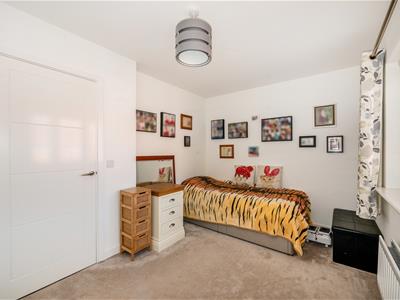 Picture 19
